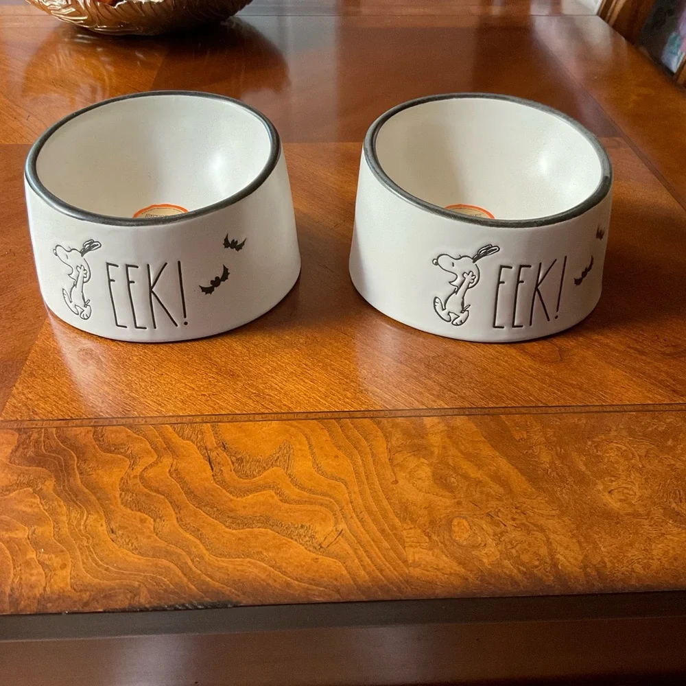 NWT SNOOPY “EEK” Rae Dunn x Peanuts Halloween Dog Dish, Raised, small